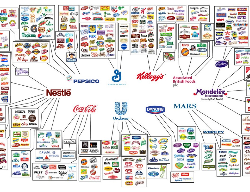 el control de la alimentacion y fisiomuro