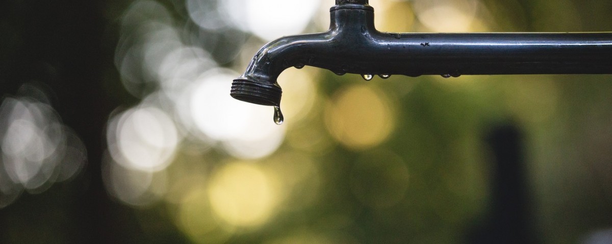 agua cruda y fisiomuro