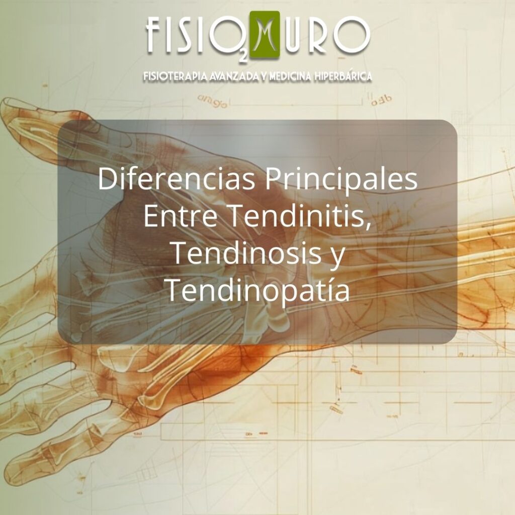 DIFERENCIAS ENTRE TENDINITIS, TENDINOSIS Y TENDINOPATÍA_ TODO LO QUE NECESITAS SABER SOBRE LAS LESIONES TENDINOSAS